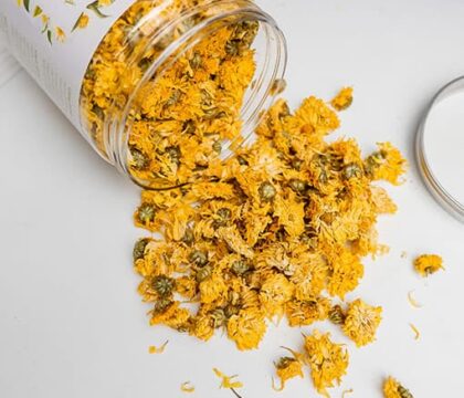 Hướng dẫn làm hoa cúc khô pha trà thơm ngon đậm vị