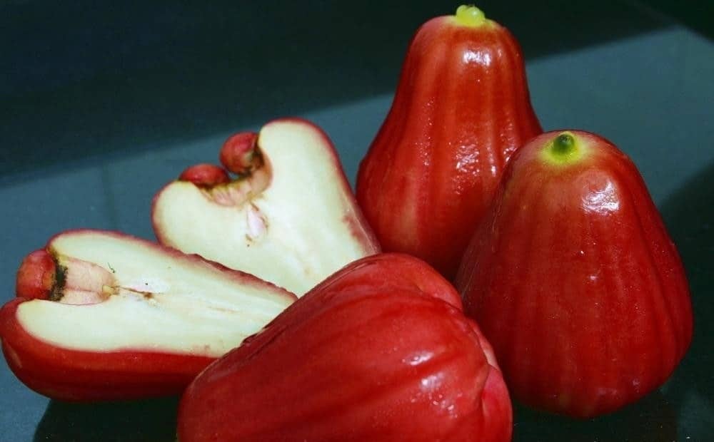 Công dụng của roi sấy dẻo