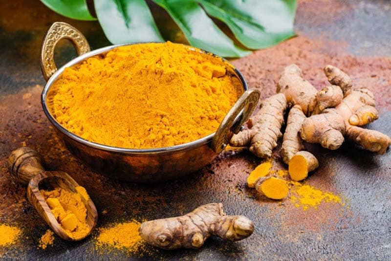 máy sấy lạnh tinh bột nghệ