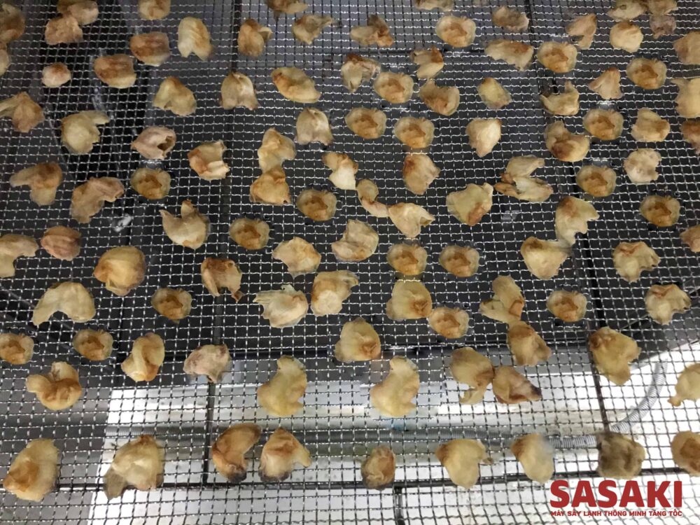 Vải sấy khô được làm dễ dàng hơn với máy sấy SASAKI