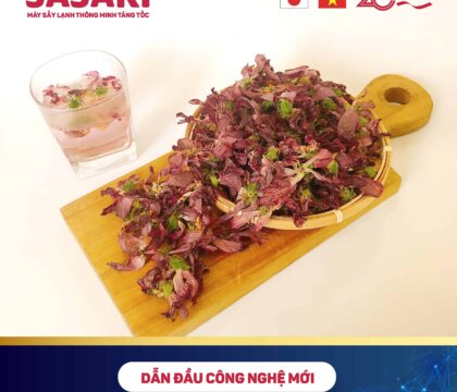 chế biến hoa sâm sấy khô