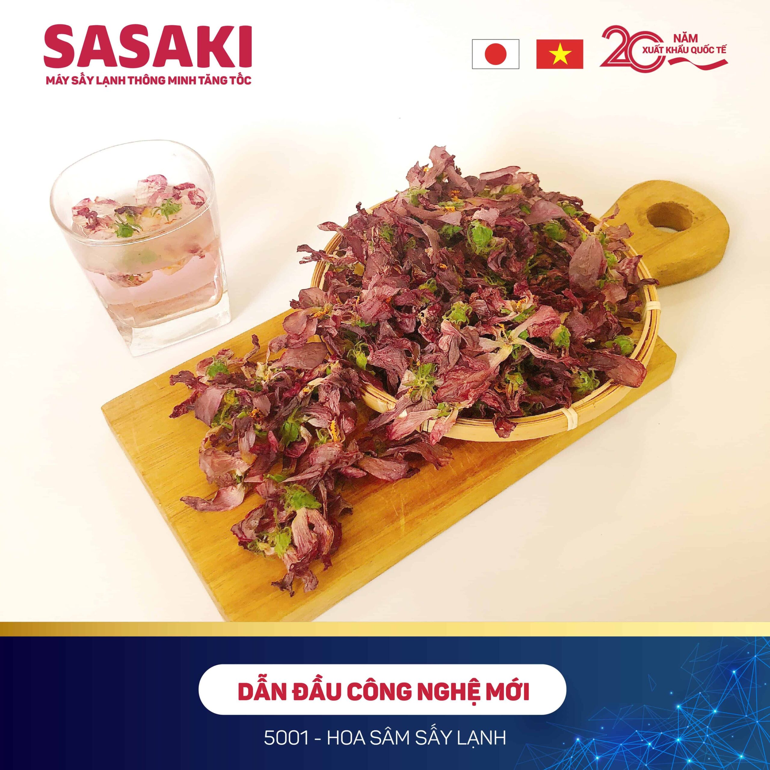 chế biến hoa sâm sấy khô