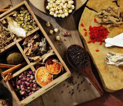 Máy sấy thuốc bắc