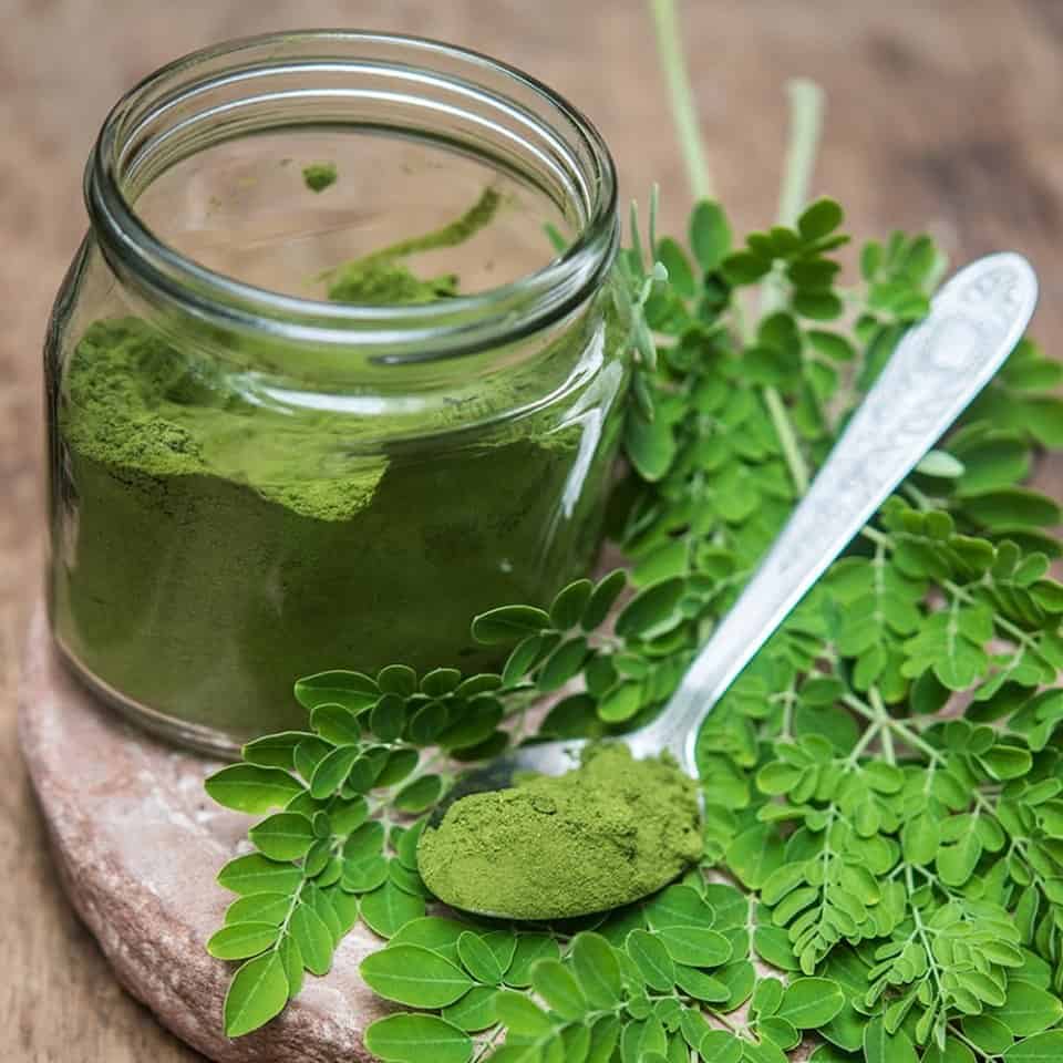 Chùm ngây sấy lạnh