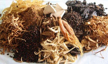 Máy sấy lạnh dược liệu