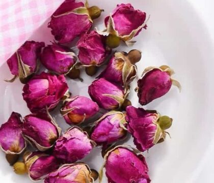 máy sấy hoa hồng