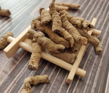 Ba kích sấy khô