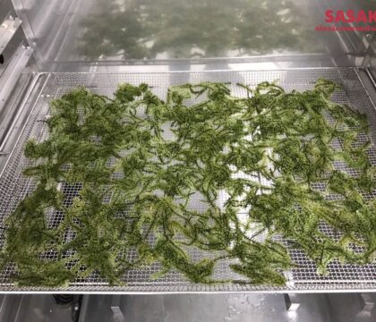 máy sấy rau củ công nghiệp