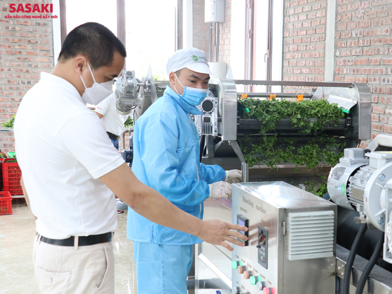 Máy sấy lạnh SASAKI - Sấy rau má, bột, trà và thực phẩm chất lượng cao
