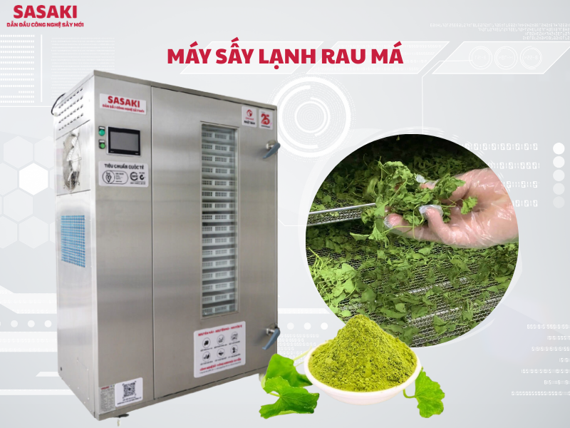 Máy sấy lạnh SASAKI - Sấy rau má, bột, trà và thực phẩm chất lượng cao
