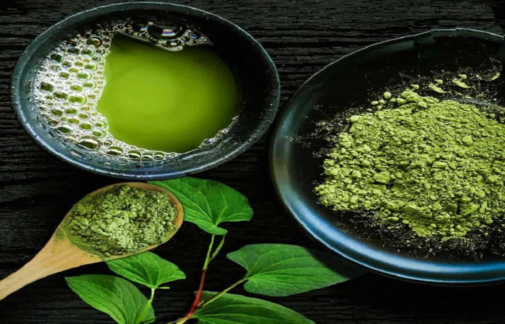 Bột diếp cá sấy lạnh pha uống