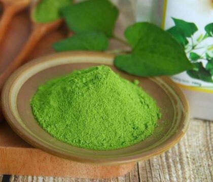 Bột diếp cá sấy lạnh giải pháp cho sức khỏe và sắc đẹp hiện đại
