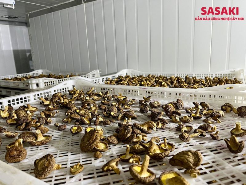 Sấy lạnh giữ nguyên giá trị dinh dưỡng của sản phẩm