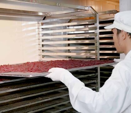 Dược liệu sấy lạnh và sấy thủ công khác gì nhau?