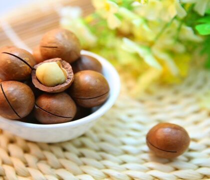 Máy sấy hoa quả giữ trọn dinh dưỡng và nâng cao giá trị nông sản