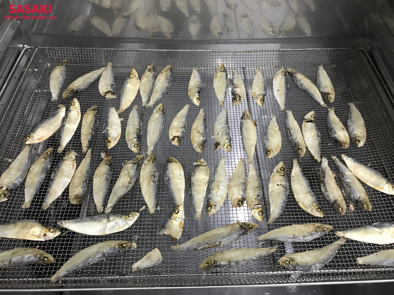 Máy sấy cá một nắng SASAKI: Giữ trọn dinh dưỡng & an toàn