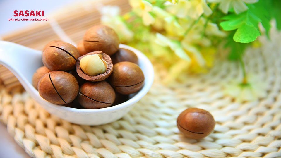 Công nghệ sấy hạt Macca phù hợp nhất hiện nay