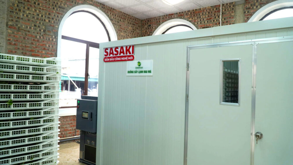 Rau má được sấy lạnh bằng công nghệ SASAKI giúp giữ nguyên màu xanh, hương vị và dưỡng chất