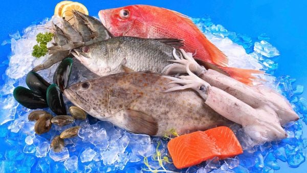 Hiện nay cả nước có khoảng 350 cơ sở quy mô công nghiệp tham gia chế biến xuất khẩu hải sản. Trong đó, chiếm gần 90% tổng số cơ sở là chế biến đông lạnh và hàng khô