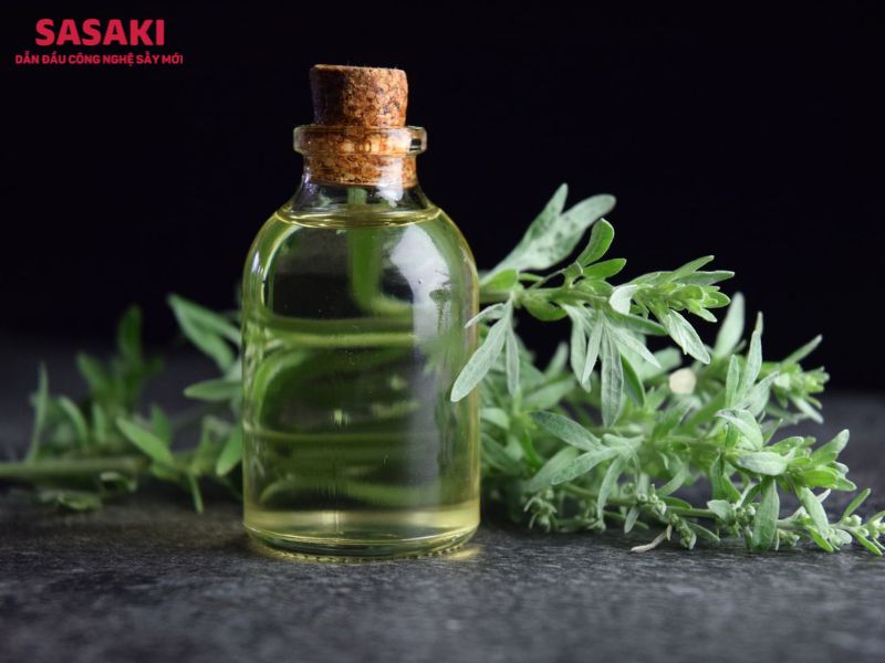 tinh dầu ngải cứu