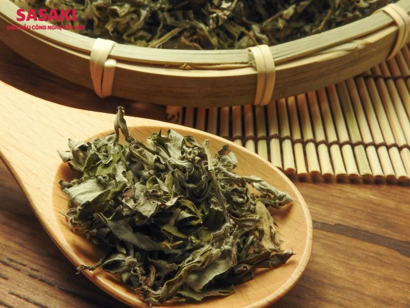 ứng dụng của ngải cứu