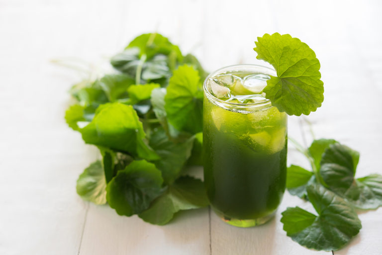 uống rau má có giảm cân không