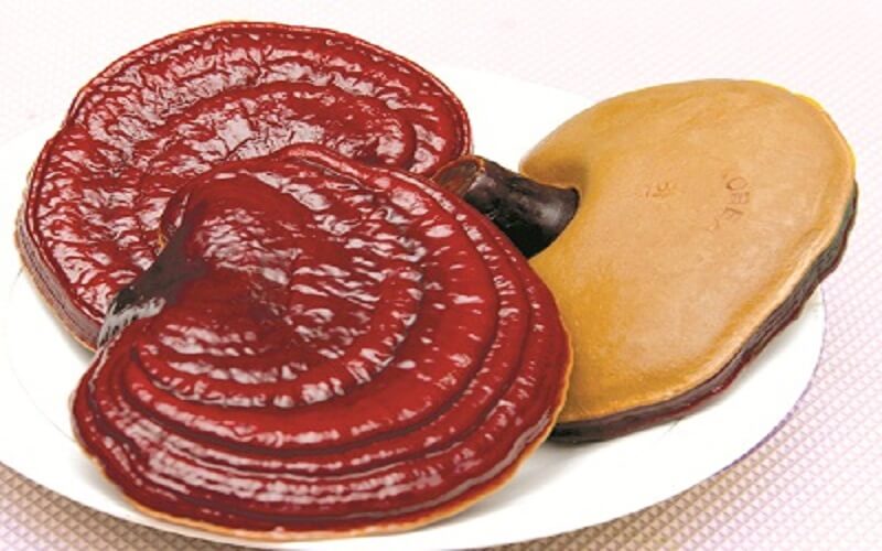nấm linh chi giá bao nhiêu