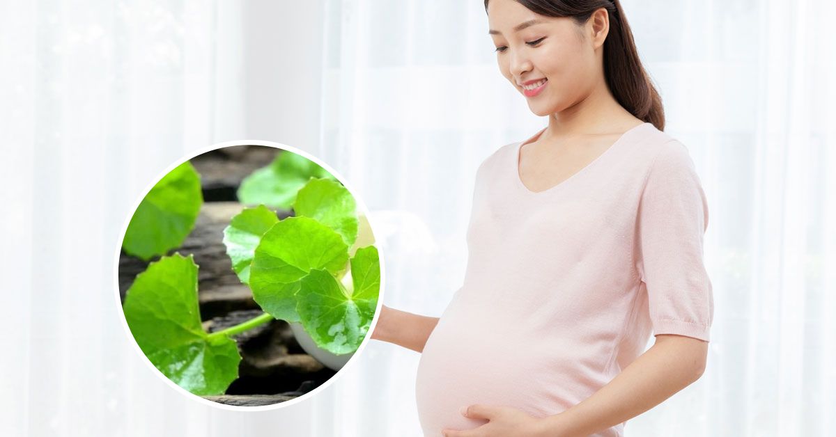 bầu ăn rau má được không