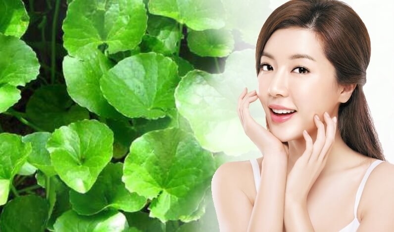 Giải đáp: Uống nước rau má có tác dụng gì cho sức khỏe?