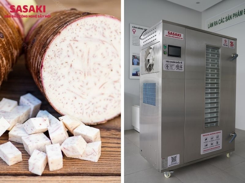 khoai môn sấy bằng máy sấy lạnh SASAKI
