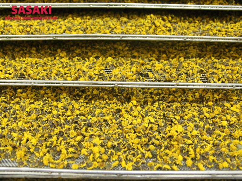 Hoa cúc chi sấy lạnh