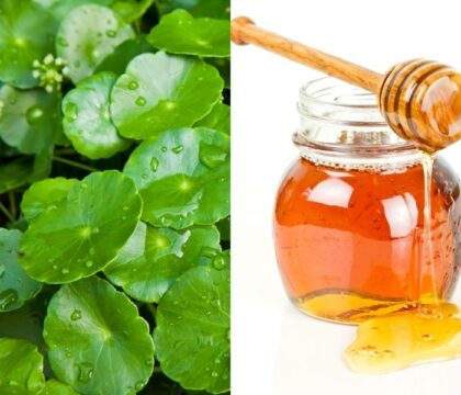 Công dụng mặt nạ rau má và cách đắp an toàn cho da
