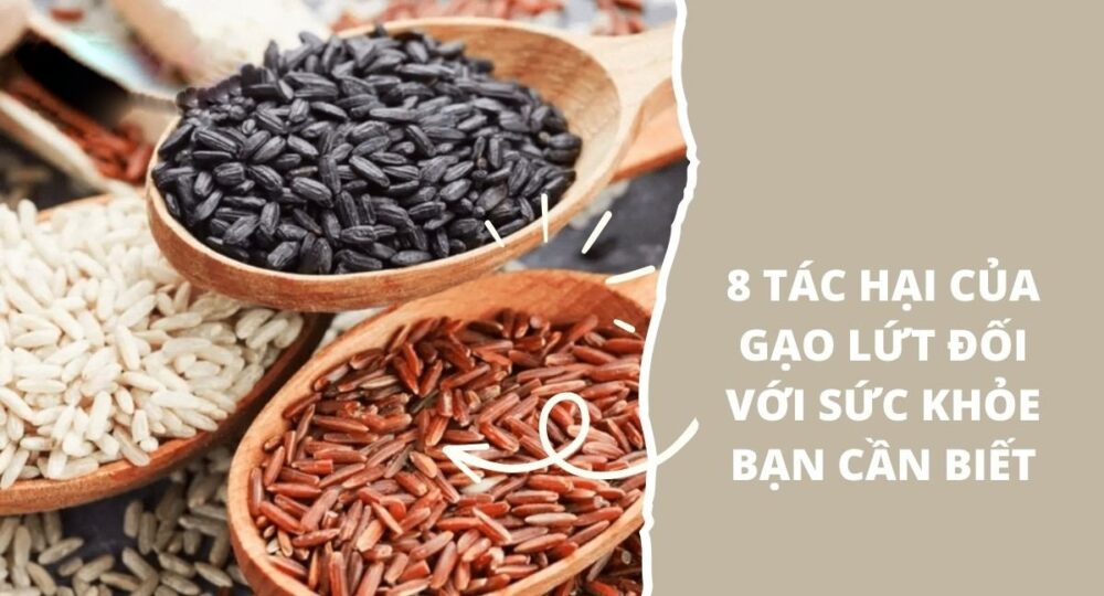 Tác hại của gạo lứt sấy khô khi ăn không đúng cách khiến sức khỏe người dùng suy giảm