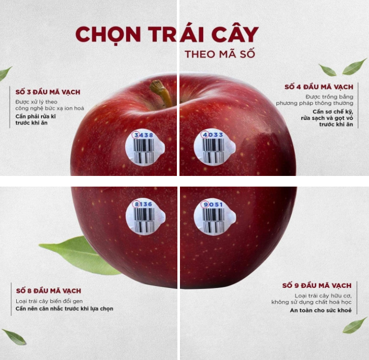  trái cây hữu cơ