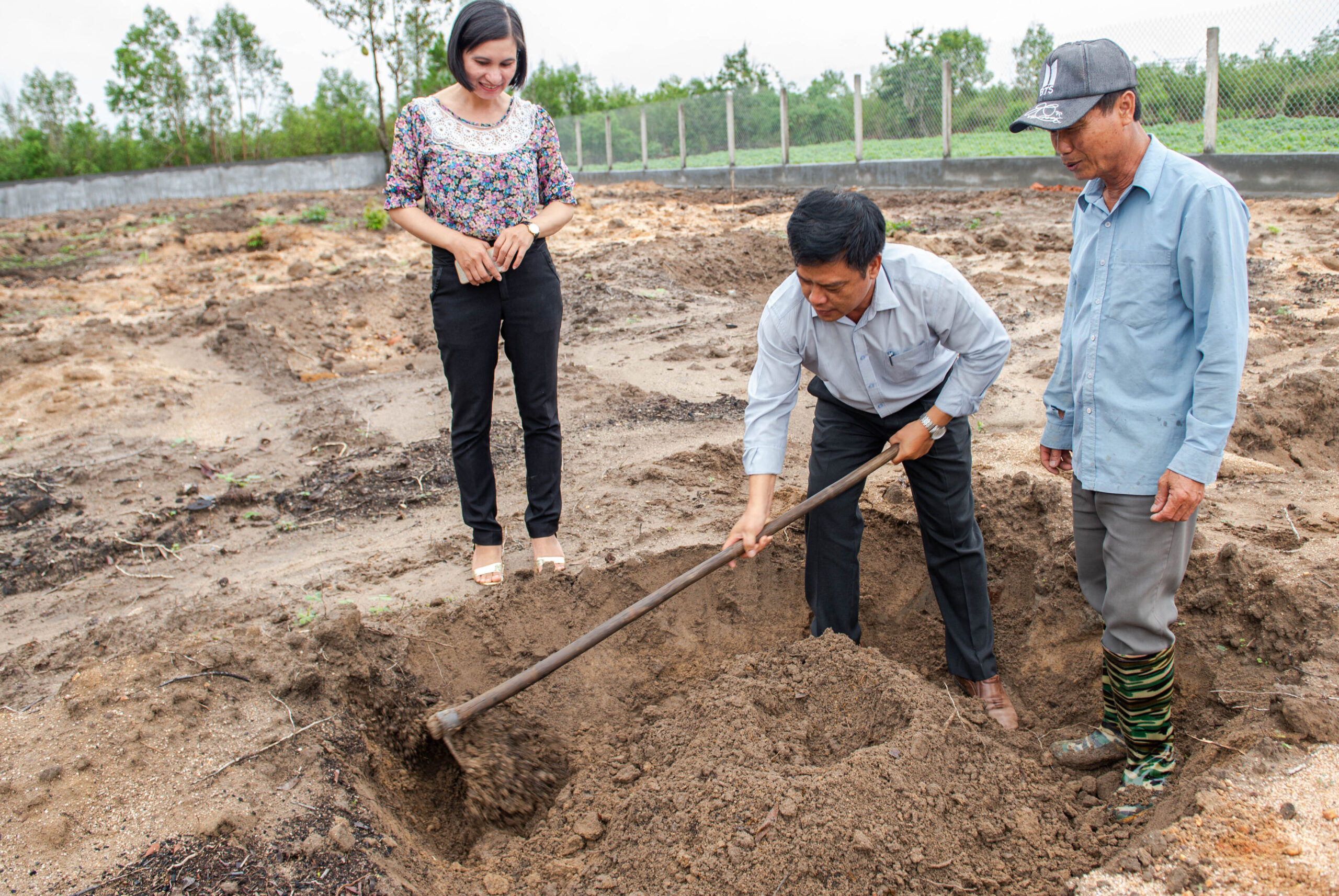 khoảng cách trồng mít ruột đỏ