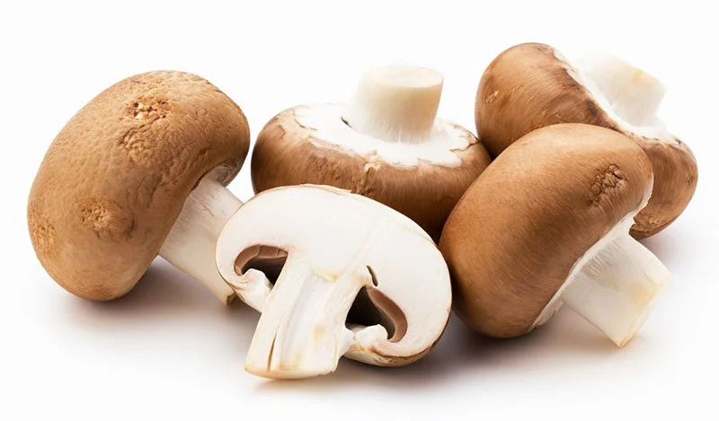  Cách trồng nấm mỡ