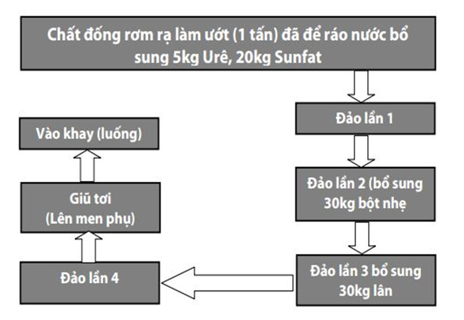  Cách trồng nấm mỡ