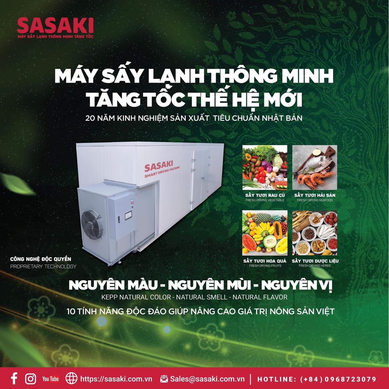 Kỹ thuật trồng cà rốt