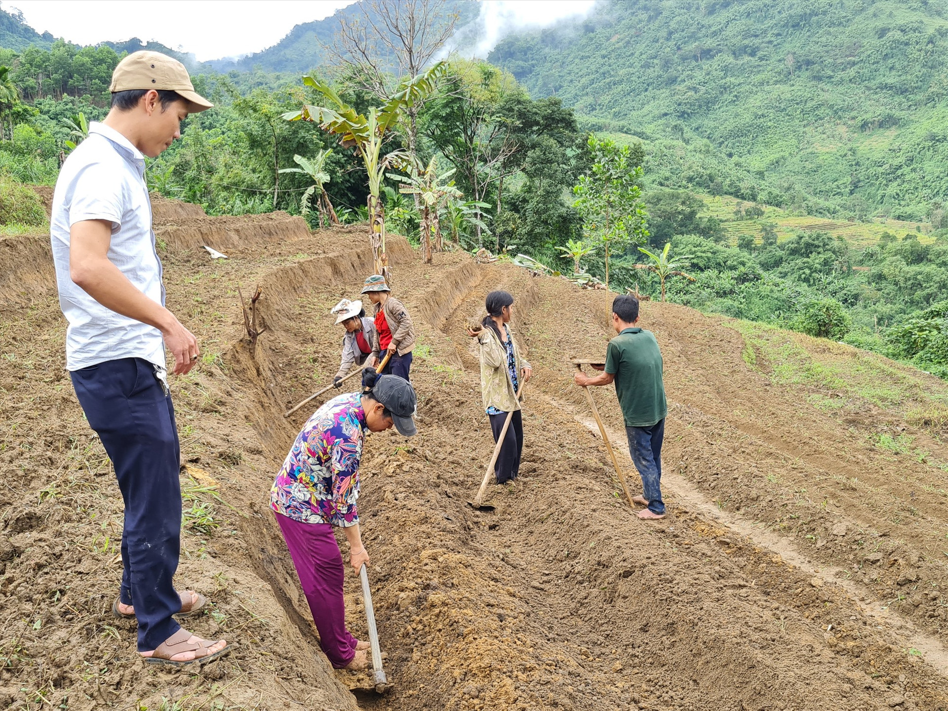 cây dược liệu