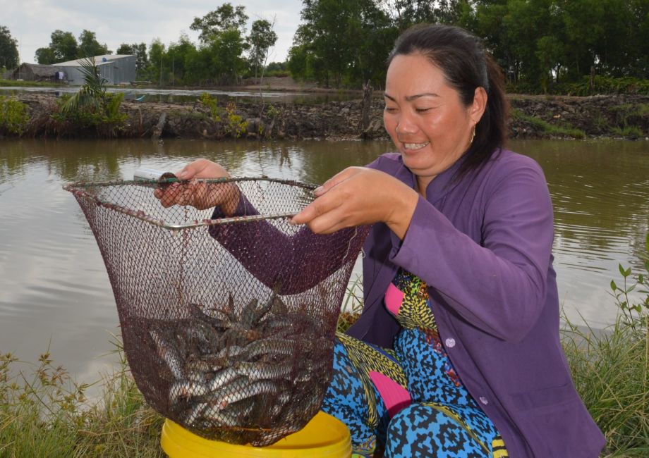 kỹ thuật nuôi cá kèo