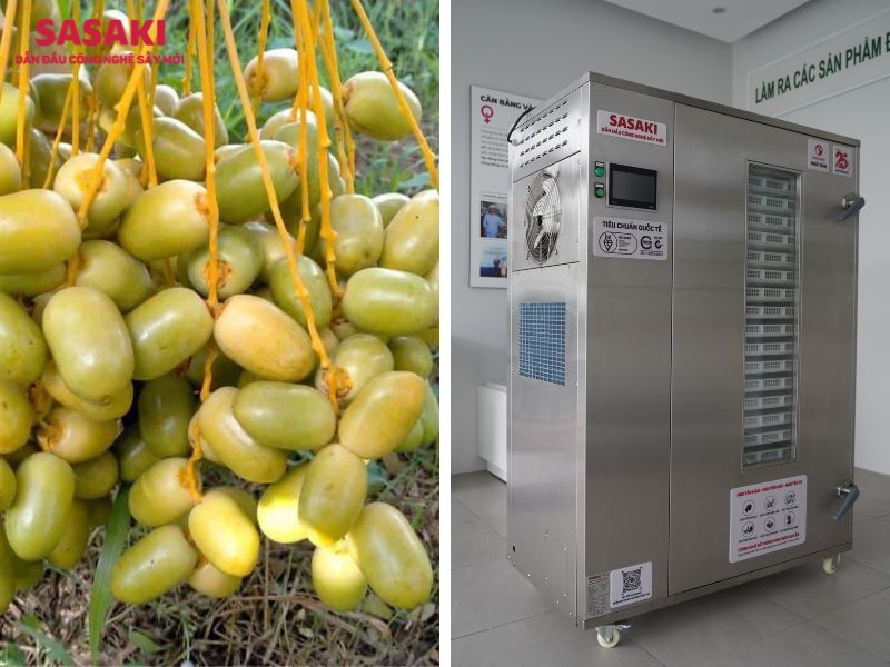 chà là sấy
