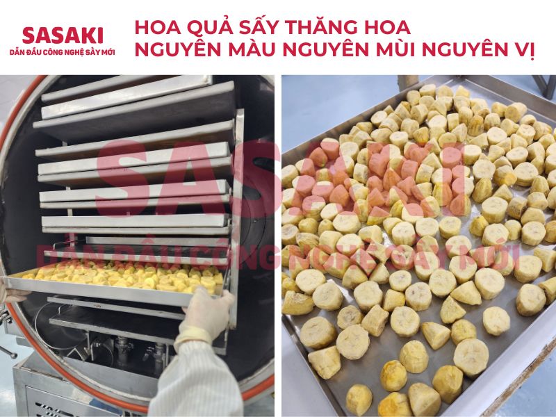 công nghệ sấy thăng hoa
