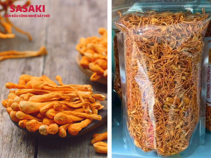 ứng dụng của quá trình sấy thăng hoa
