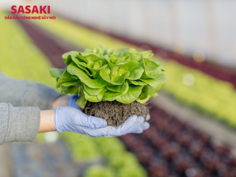 Chuẩn từ nguyên liệu đầu vào