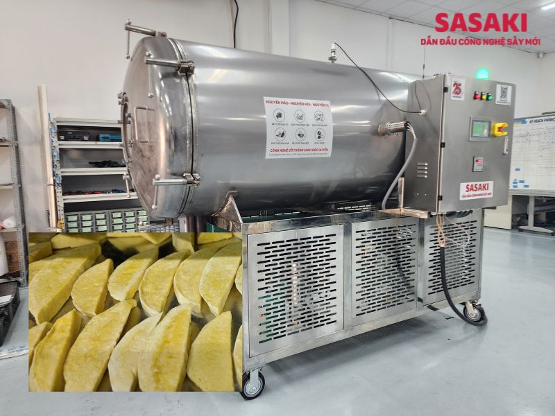 Dịch vụ sấy thăng hoa gia công