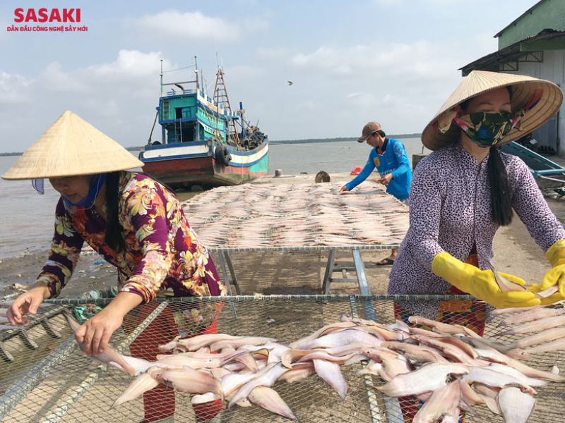 Việc đầu tư máy sấy cá biển thay thế phương pháp thủ công là xu hướng phát triển mạnh trong thời gian tới