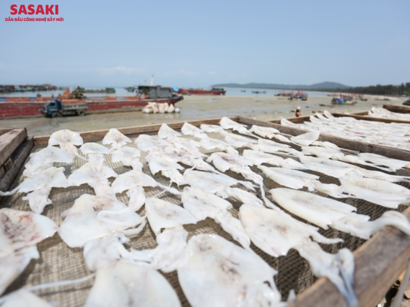 Việc sấy mực thủ công bằng ánh nắng mặt trời đang dần được thay thế bằng máy sấy mực khô chuyên dụng