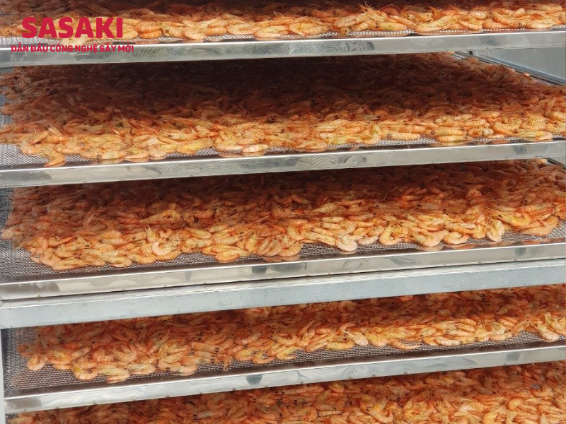 Máy sấy tôm cá – Giải pháp tối ưu nâng cao chất lượng & năng suất thủy hải sản
