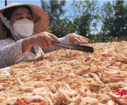 Hướng dẫn làm tôm khô đơn giản tại nhà & công nghiệp