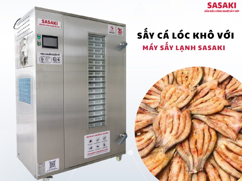 Máy sấy khô cá lóc SASAKI – Sấy nhanh, giữ trọn hương vị